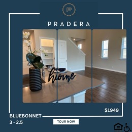 Instagram post from @livepradera on July 24, 2024 12:23:00pm